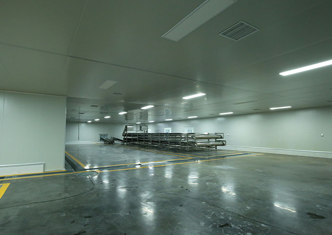 四川省牛丫牛食品有限公司廠房裝修現場